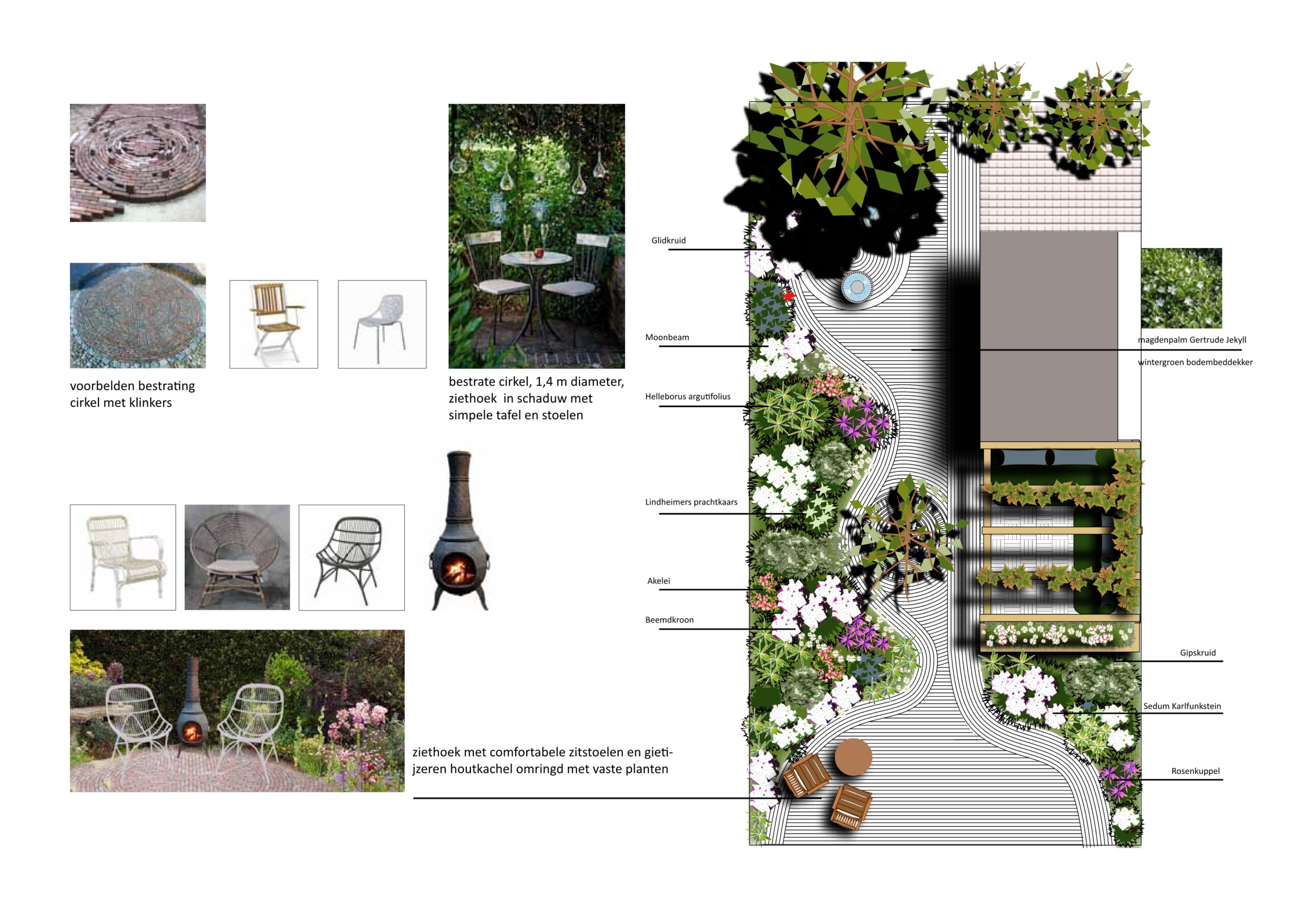 ontwerp