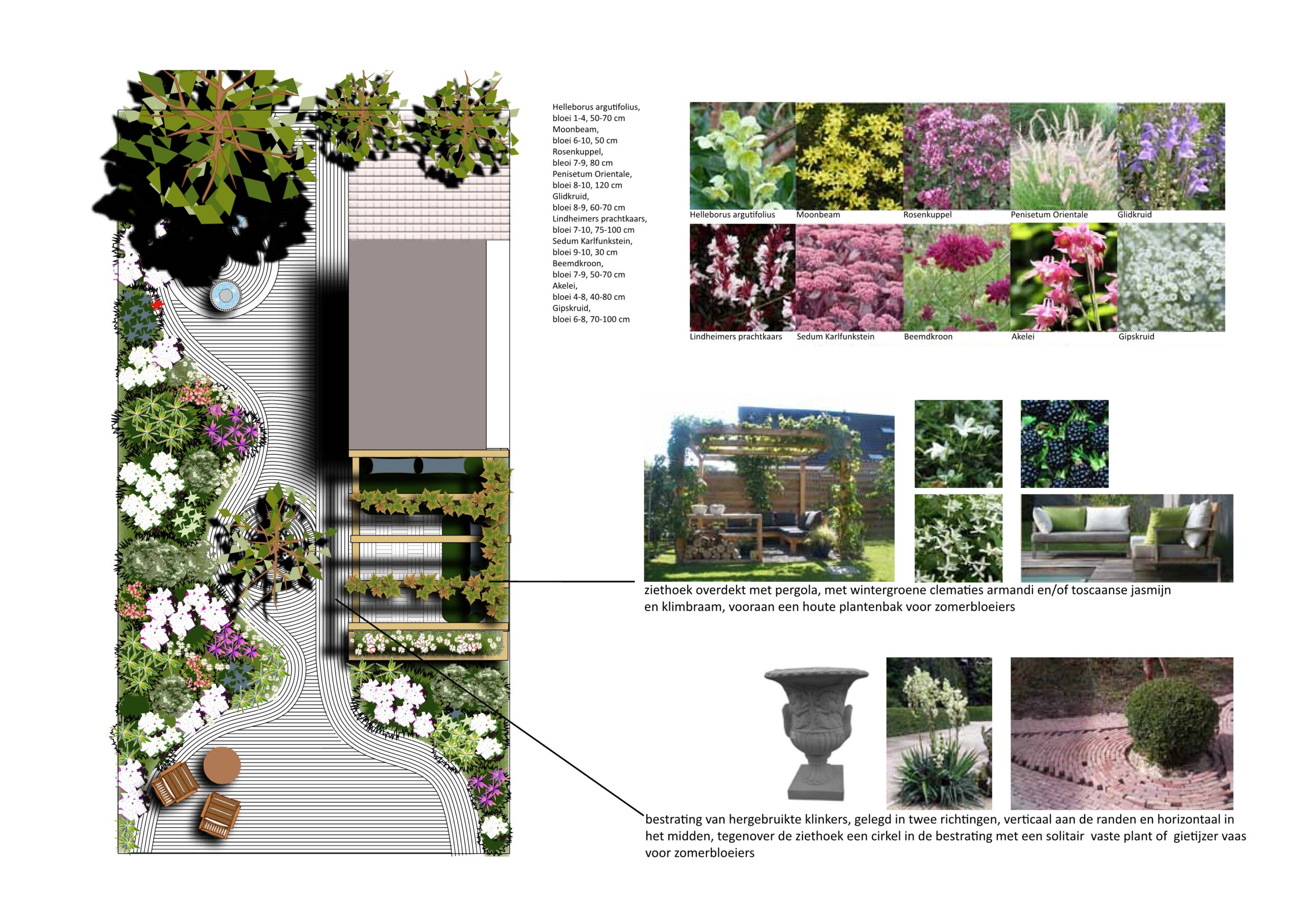 ontwerp