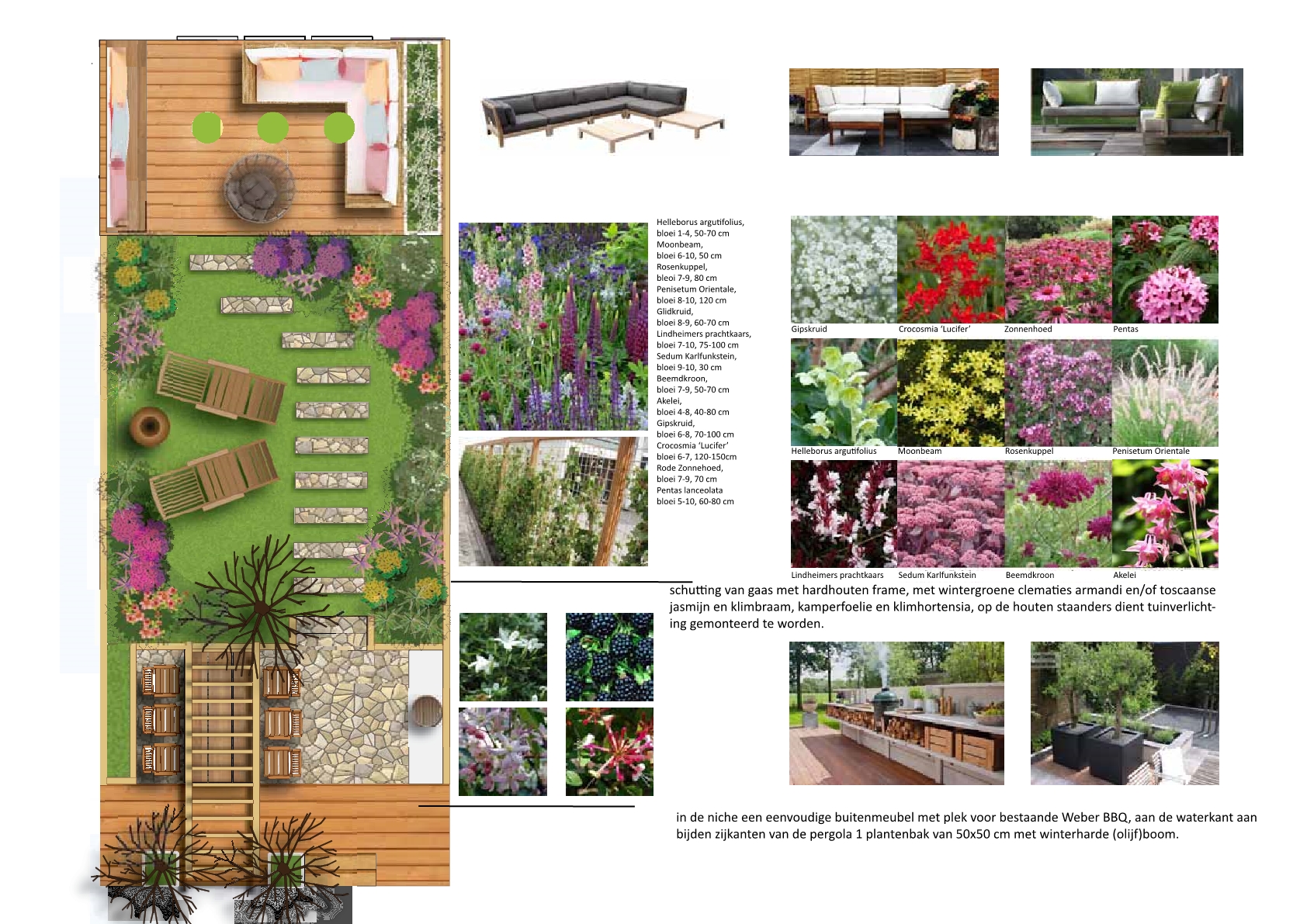 ontwerp
